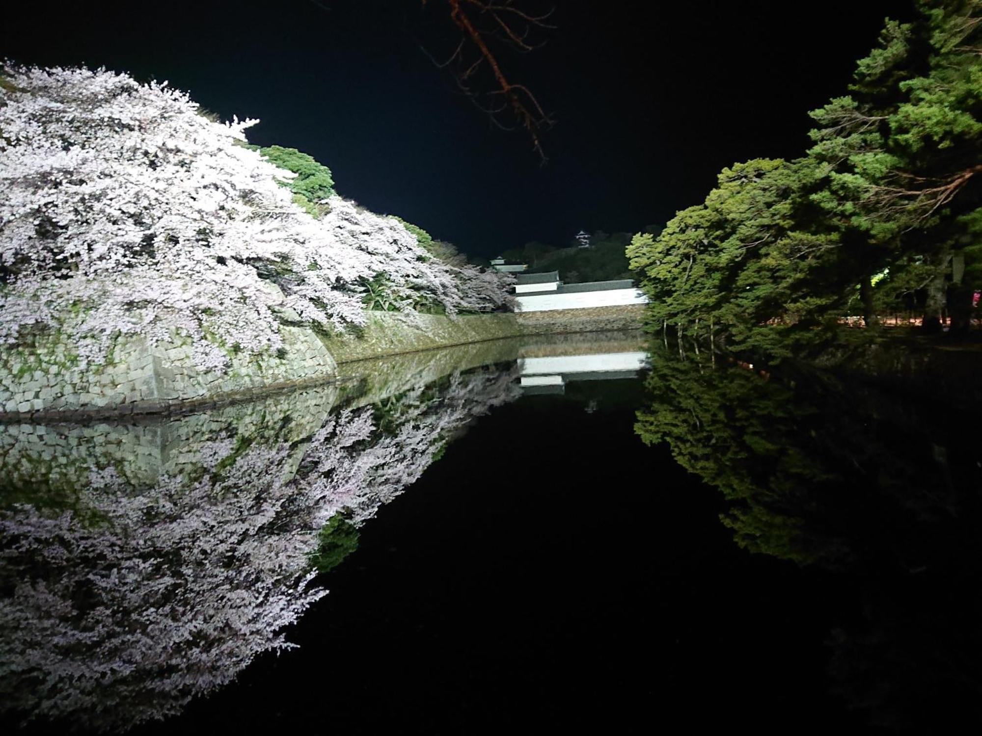 Lapus Honmachi No.200 / Vacation Stay 57908 Хиконе Экстерьер фото